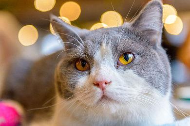 大型VR战役MOD《半条命：悬浮》登陆创意工坊